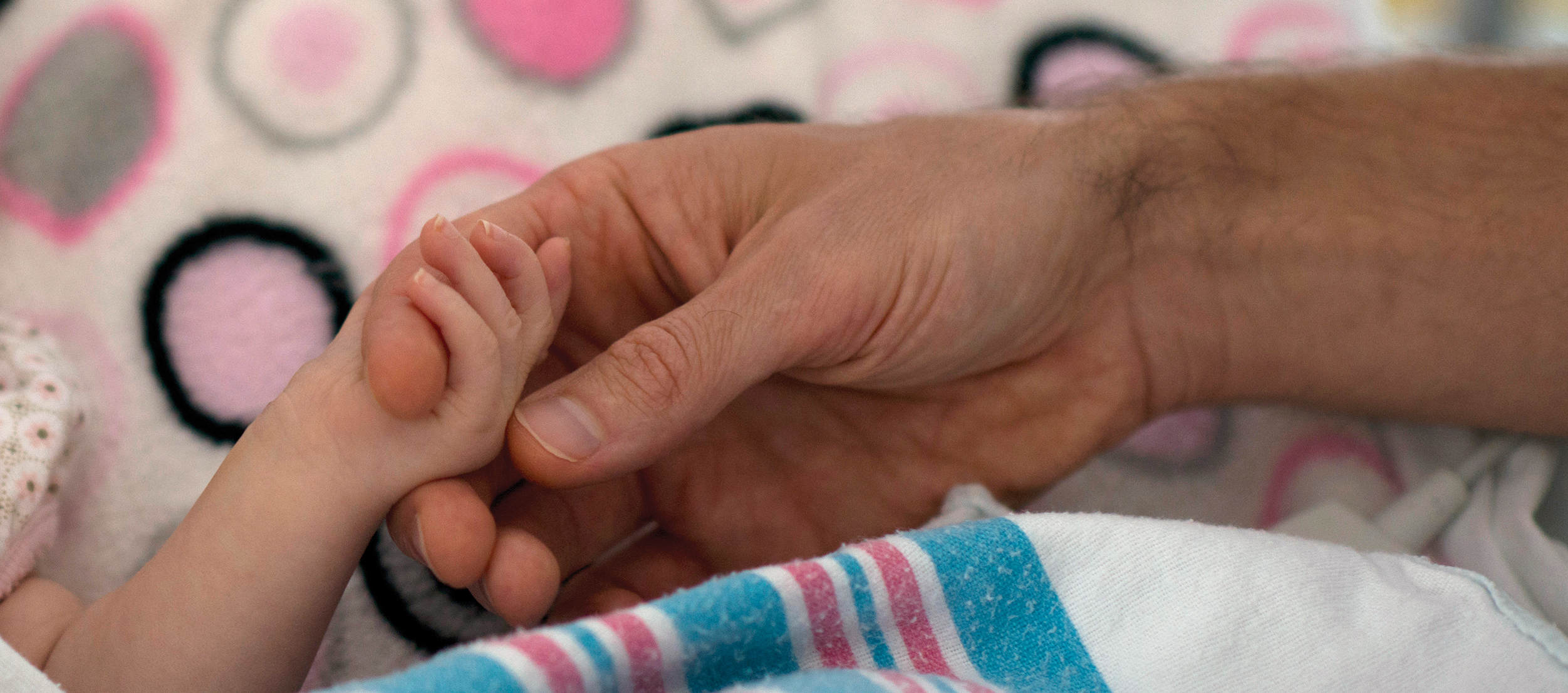 baby hand holding adult hand
