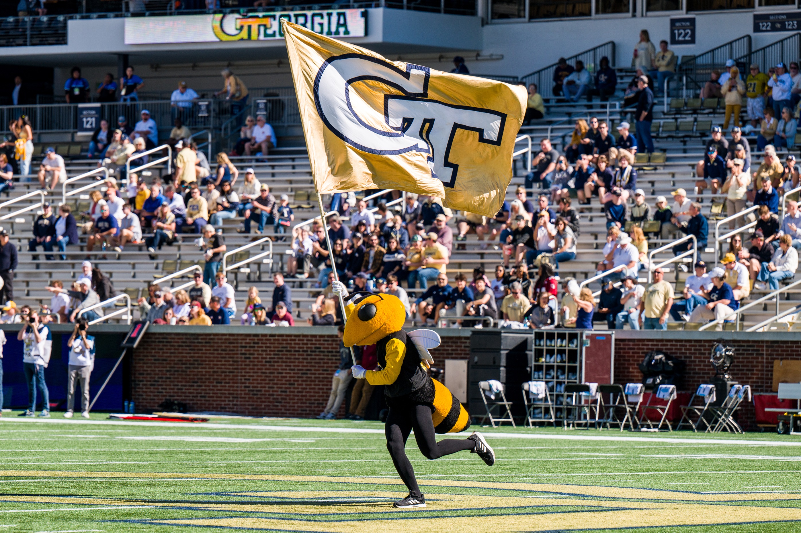 Buzz on field with GT color guard flag
