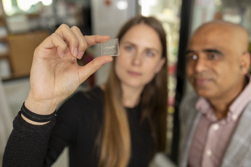 Ankur Singh and Rachel Ringquist