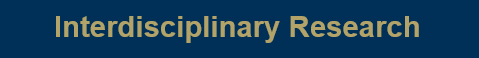 interdisciplinary research