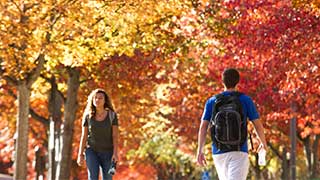 people walking under fall colored trees