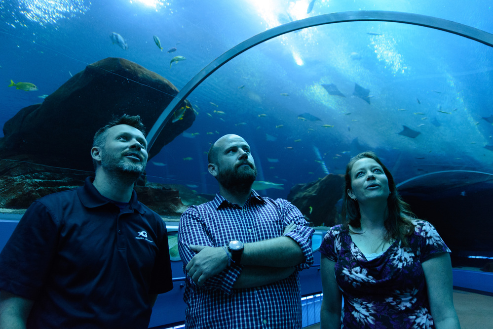 postdocs and aquarium staff at the Georgia Aquarium